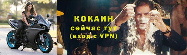 дживик Горняк
