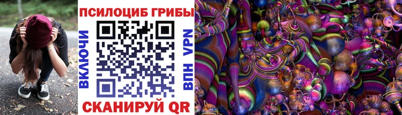 магазин продажи   omg зеркало  Галлюциногенные грибы Psilocybe  Обнинск 